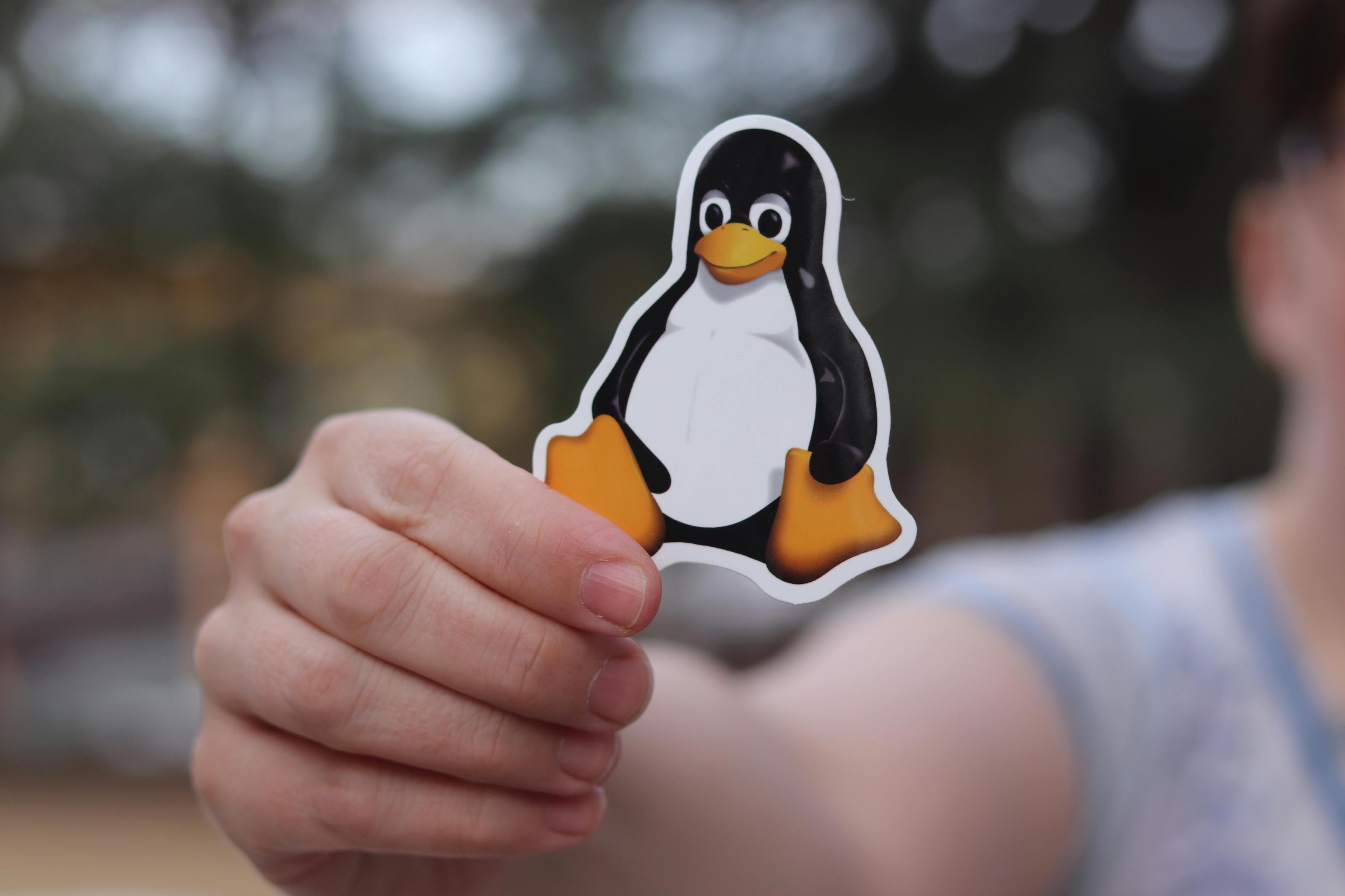 illustration of linux